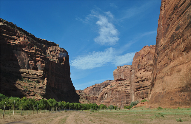 Canyon de Chelly, AZ  (Canyon del Muerto)