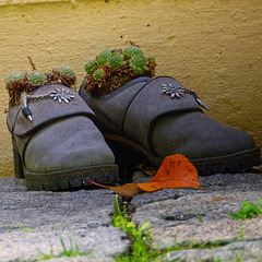 Die Oberpfalz | Impressionen