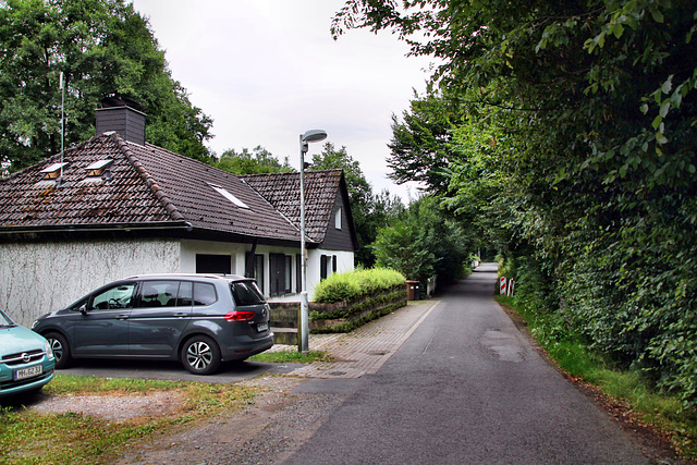 Mintarder Dorfstraße (Mülheim-Mintard) / 5.07.2025