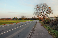 Massener Bahnhofstraße (Unna-Massen) / 12.11.2016