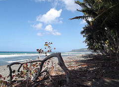 Playa Barigua