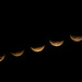 Partial Luner Eclipse - July 16, 2019