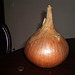 Grown up onion.