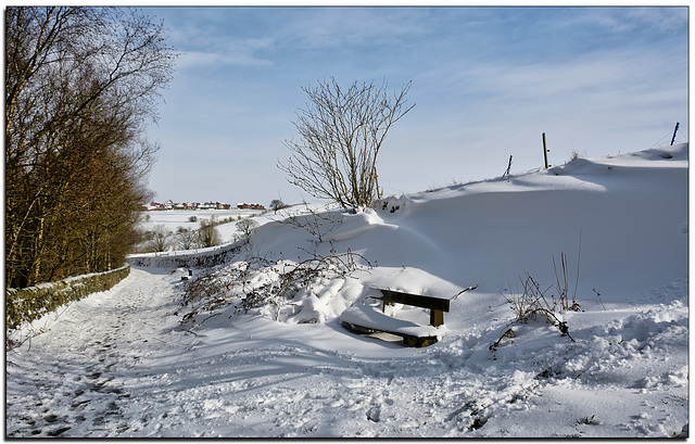 A winter at Strinesdale