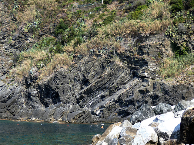 Vernazza- Striking Strata