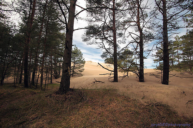 Słowiński Park Narodowy (5)