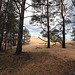 Słowiński Park Narodowy (5)