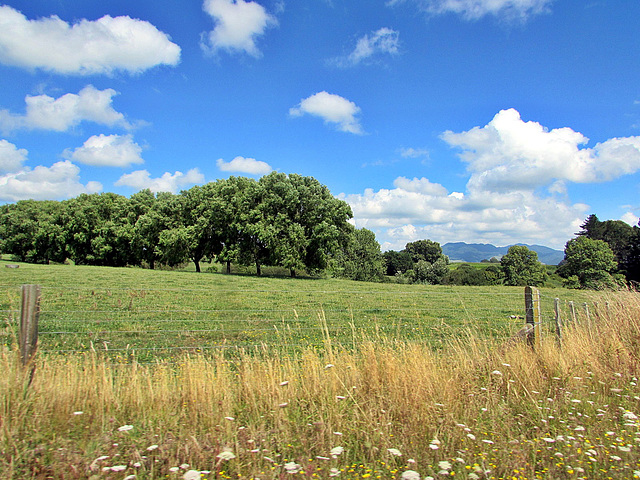 Distant Hills