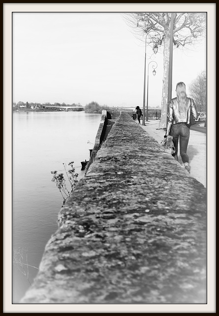 La belle de Loire