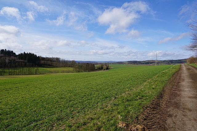 Blick vom "Nüll"