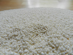 Staple food grains of the world, Section M: Millets, subsection Kodo