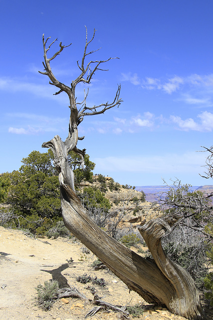 West Rim Trail, Grand Canyon