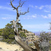 West Rim Trail, Grand Canyon