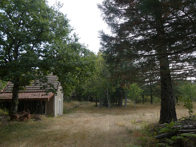 20180910 -15 Randos solo Prévenchères (Lozère-Villefort) (257) al