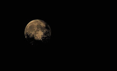 Moon rising over the hill