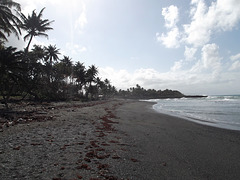 Playa cubana / Plage basaltique