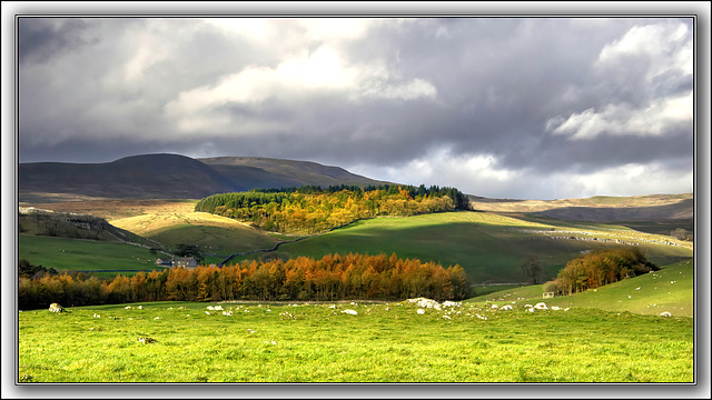 A Dales View