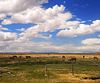 Puno  horses, HFF