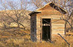 Abandoned shed at Valley View