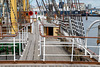 Hamburgtreffen 2024 - Besuch des Deutschen Hafenmuseums und des Museumsschiffes Peking am 29.04.2024
