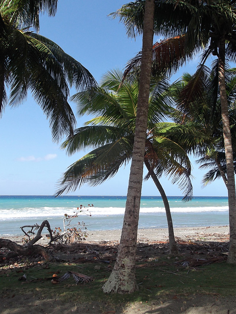 Cuban beach