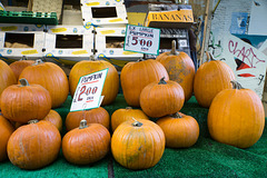 British pumpkins