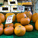 British pumpkins