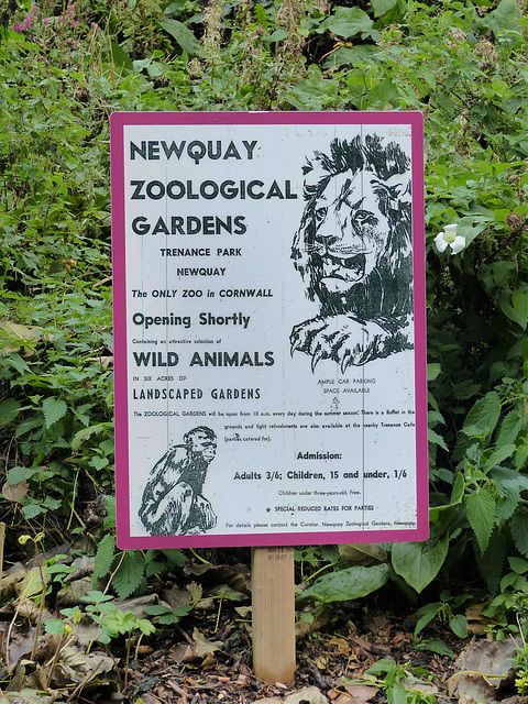 Newquay Zoo (8) - 24 September 2020