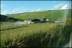 farm at West Lulworth