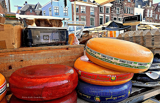 cheese market in Delft/Netherlands