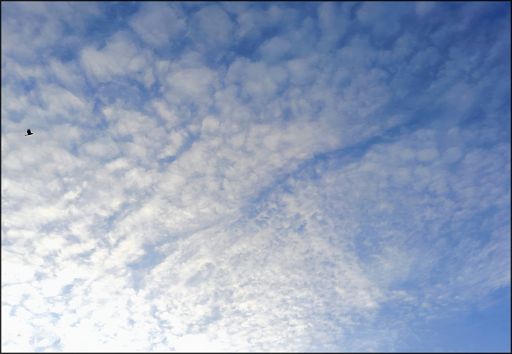 Clouds