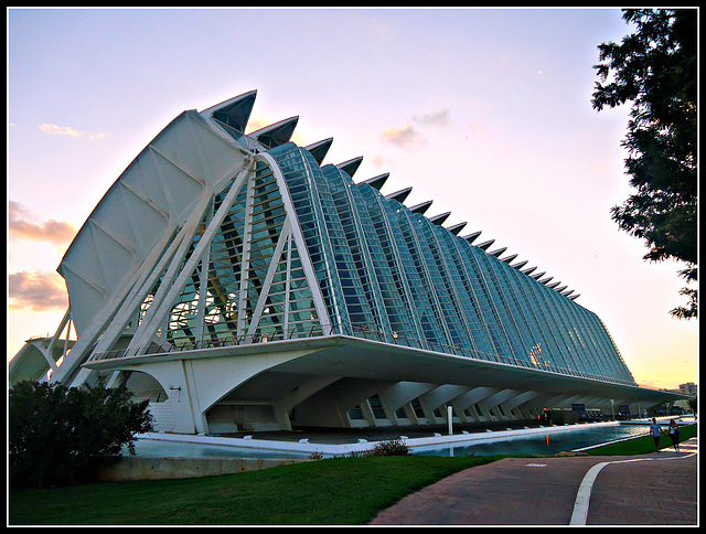 Valencia: Museo de las Ciencias Príncipe Felipe, 2