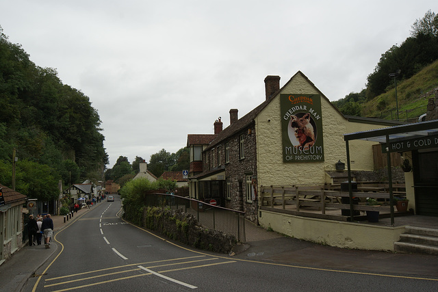 Cheddar Village