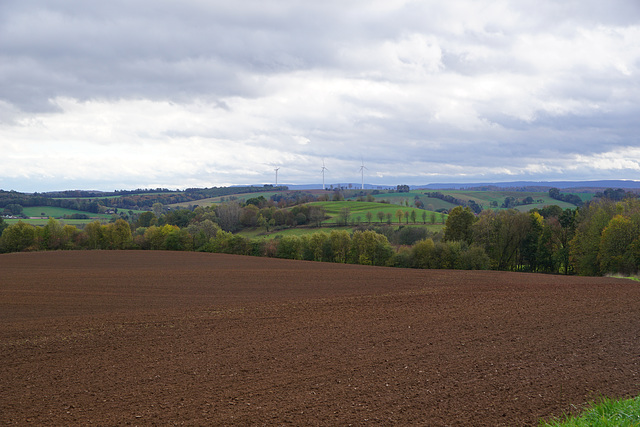 Landblick