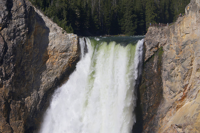 Lower Yellowstone Falls