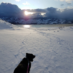 20191129 154315 20191129 154315