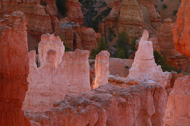 Bryce Canyon Morning