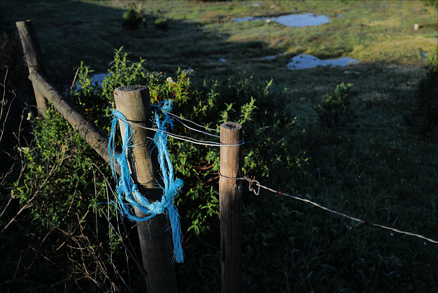 Penedos, Blue rope