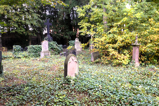 friedhof 2193