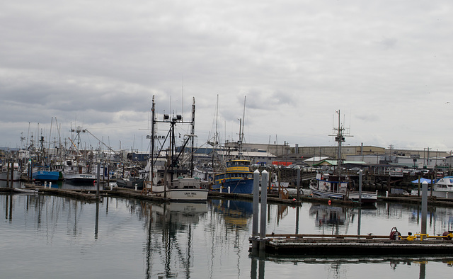 Westport WA commercial fleet (#1370)