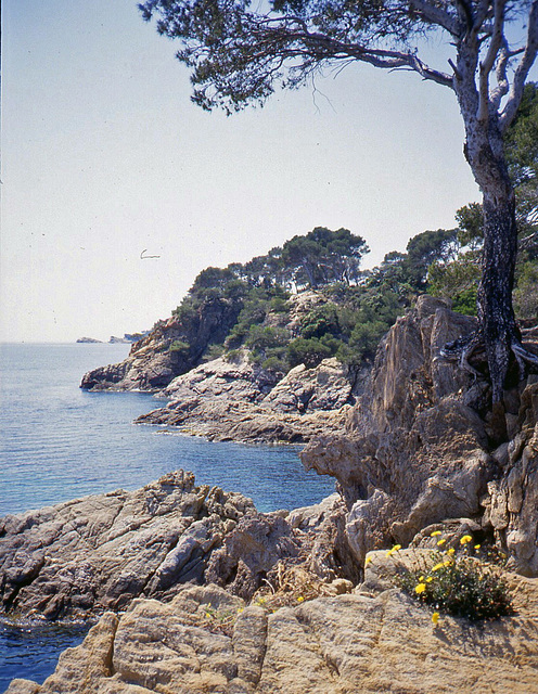 Küstenabschnitt an der Côte d'Azur