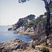 Küstenabschnitt an der Côte d'Azur