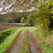 Wanderweg im Herbst