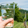 mit dem Dubbeglas in der Hand unter dem Hambacher Schloß