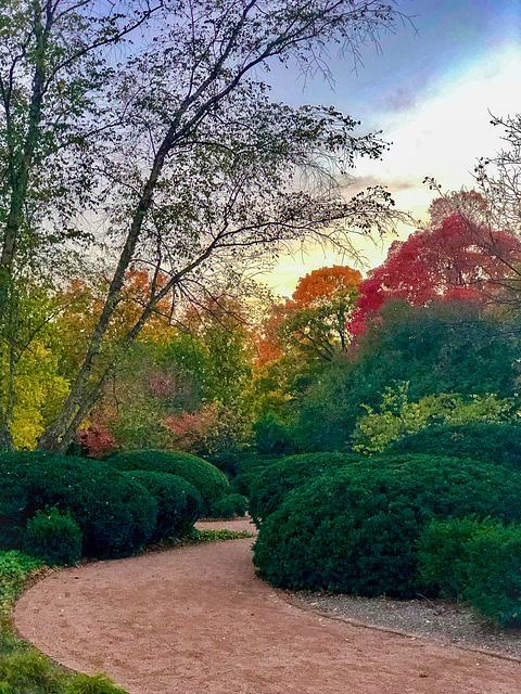 Fall Garden Path