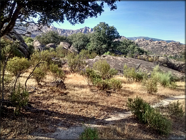 Sierra de La Pedriza