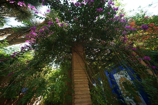 Jardins Majorelle