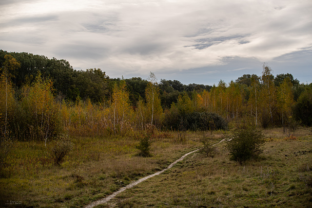 Herbststimmung