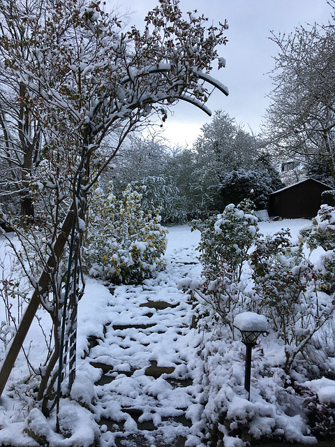 Ce matin à Liège