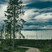20250601_Wanderung Elbingerode-Weinbergblick und zurück